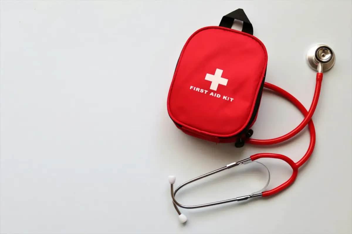 7 Pet Emergency Preparedness Mistakes That Put Animals at Risk