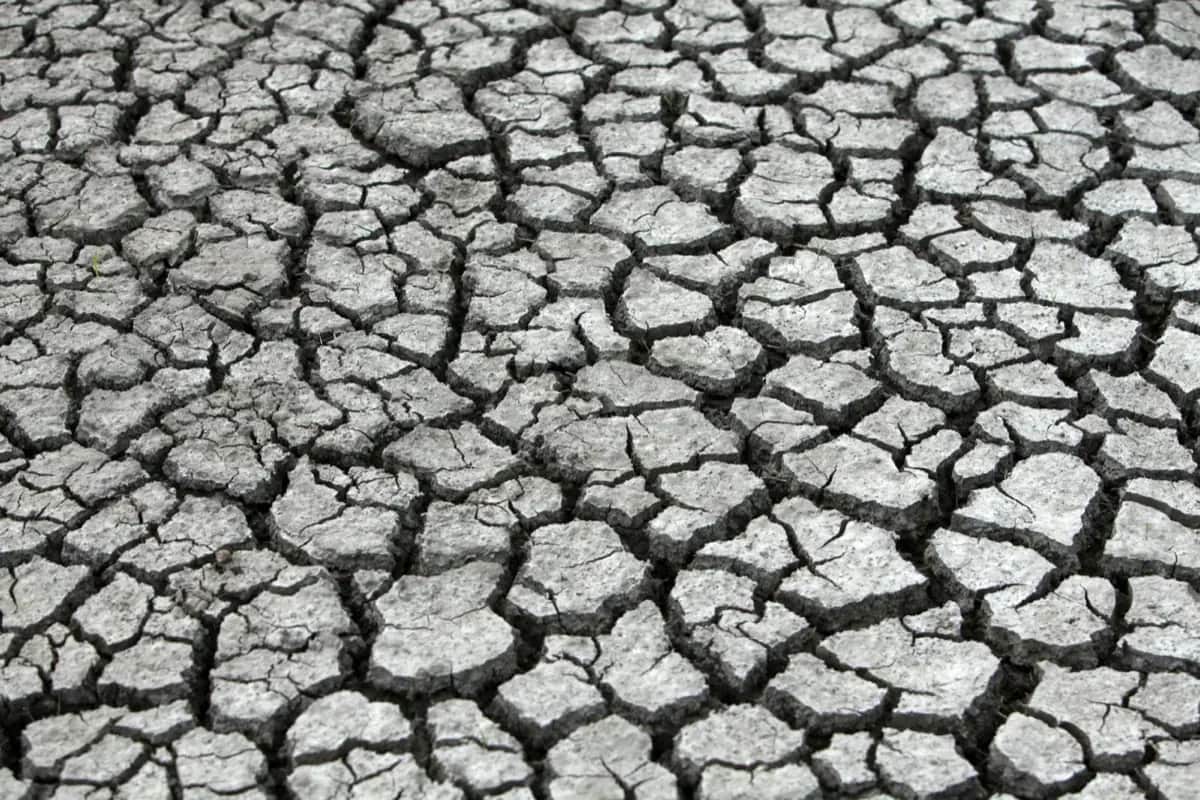 Heatwave Survival Guide: Complete Preparation for Germany's Extreme Summers