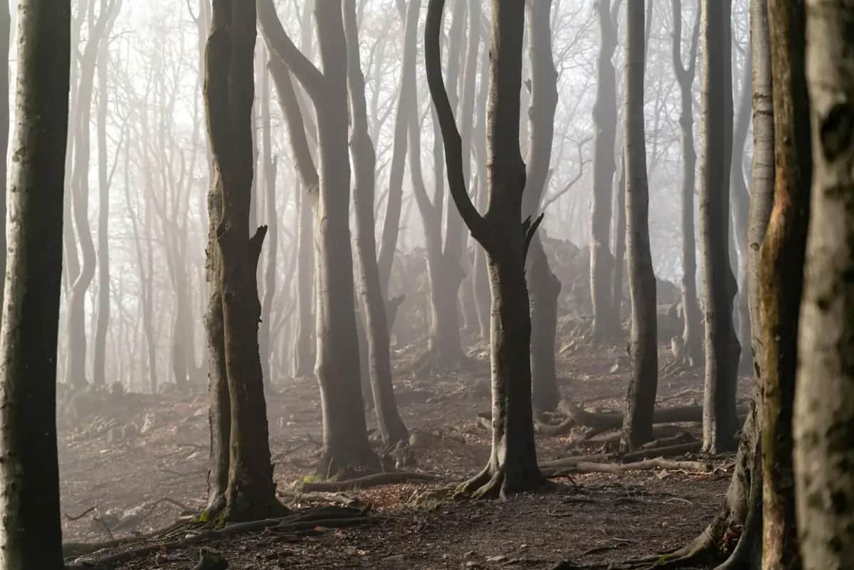6 Fehler bei Hitzewellen, die Menschen das Leben kosten können