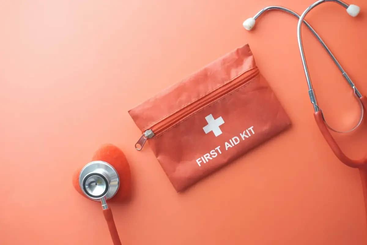 Crisis Preparedness for Families: The Complete Family Guide