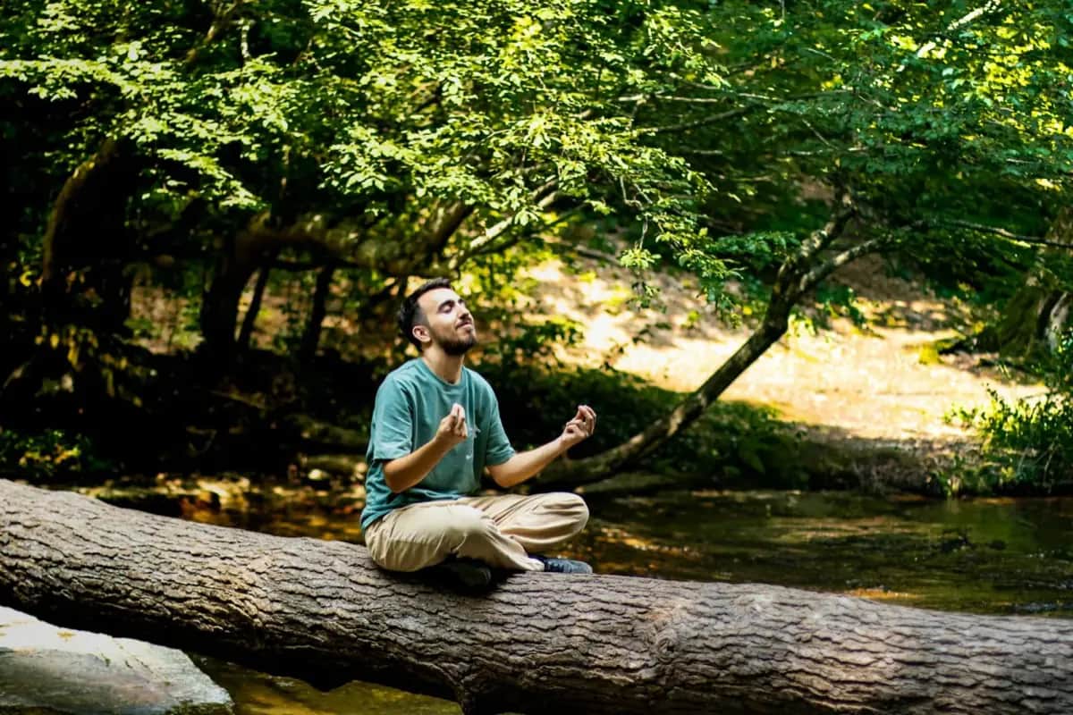 Mentale Krisenvorbereitung: Der vollständige Guide für psychische Resilienz