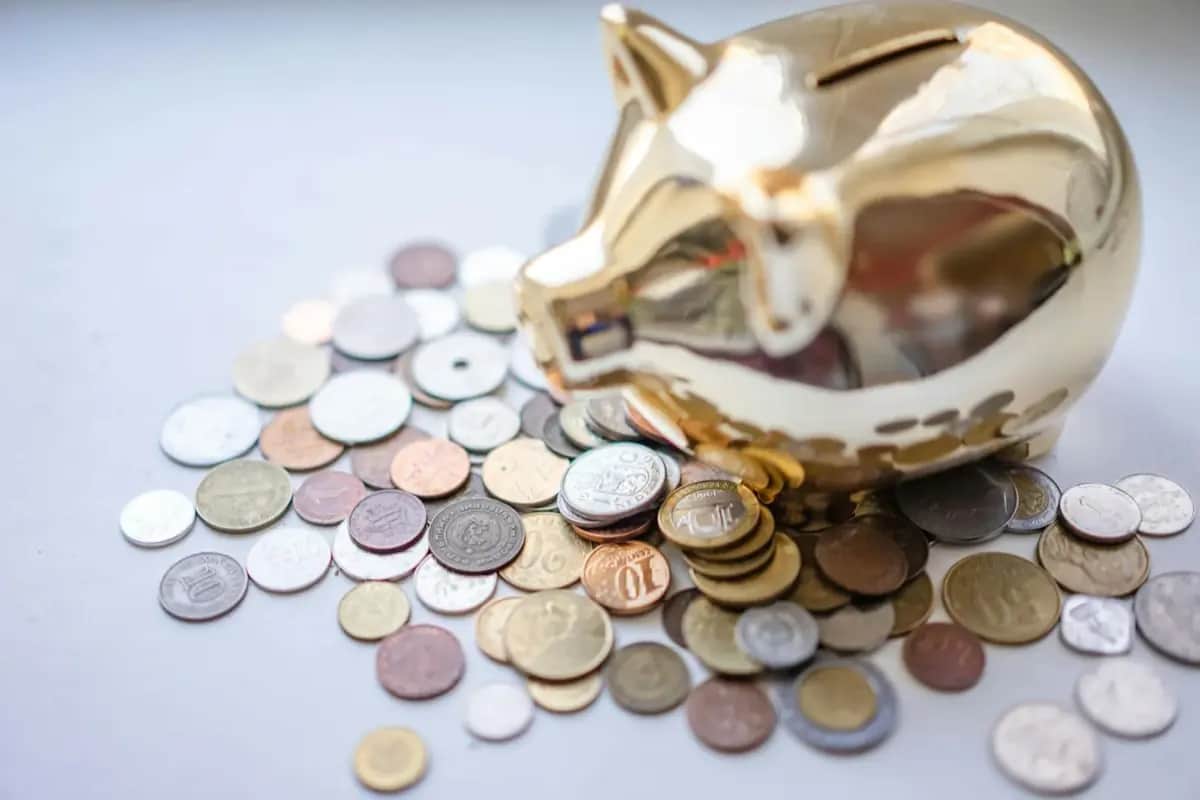 Crisis Preparedness Through Insurance: What Really Matters