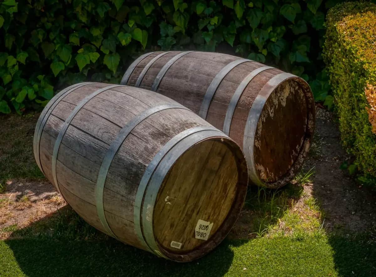 8 Methods to Purify Water Without Electricity: What Really Works