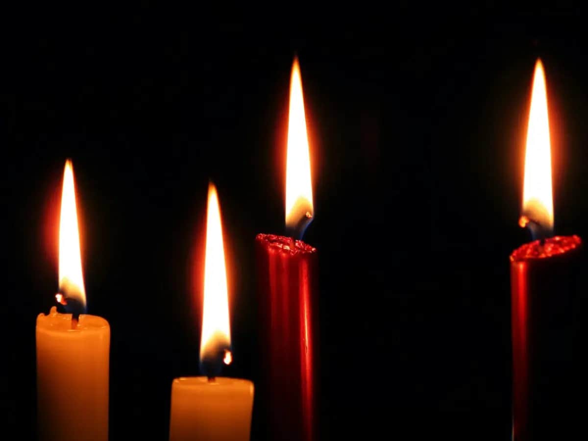 Generator vs. Solar Battery: What Protects Better During a Blackout?