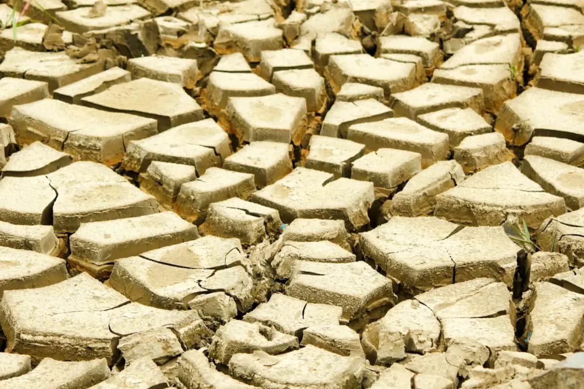6 Heatwave Mistakes That Can Be Deadly
