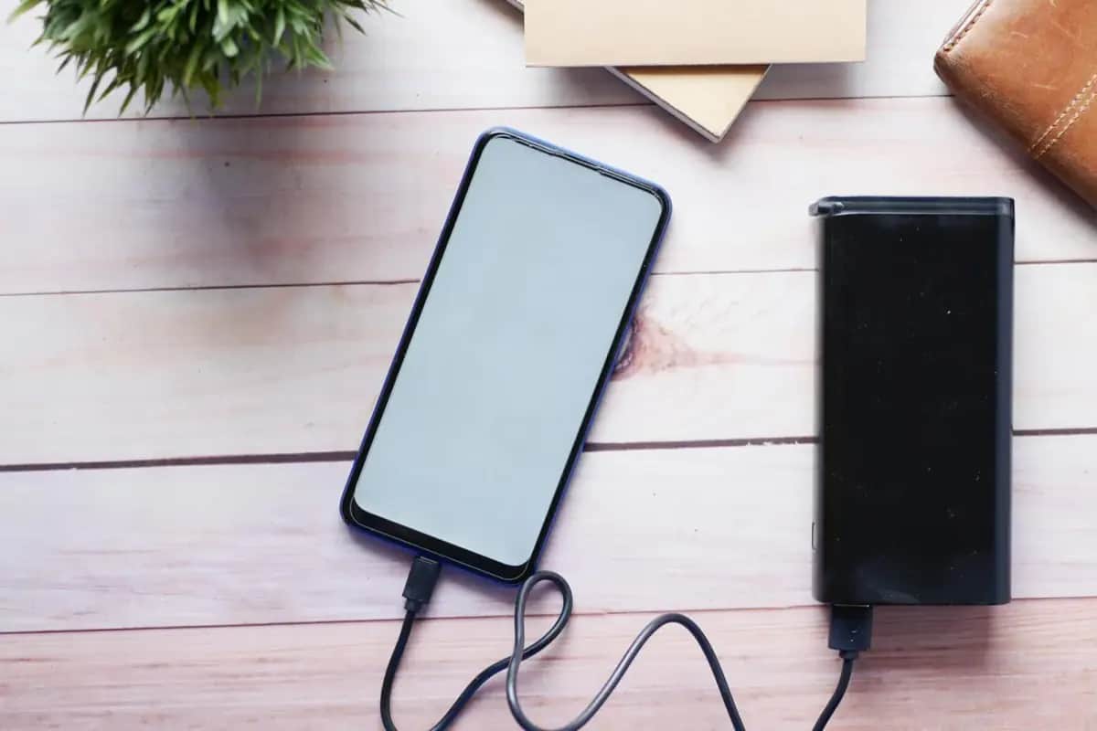 The Ultimate Blackout Guide: Surviving an Extended Power Outage