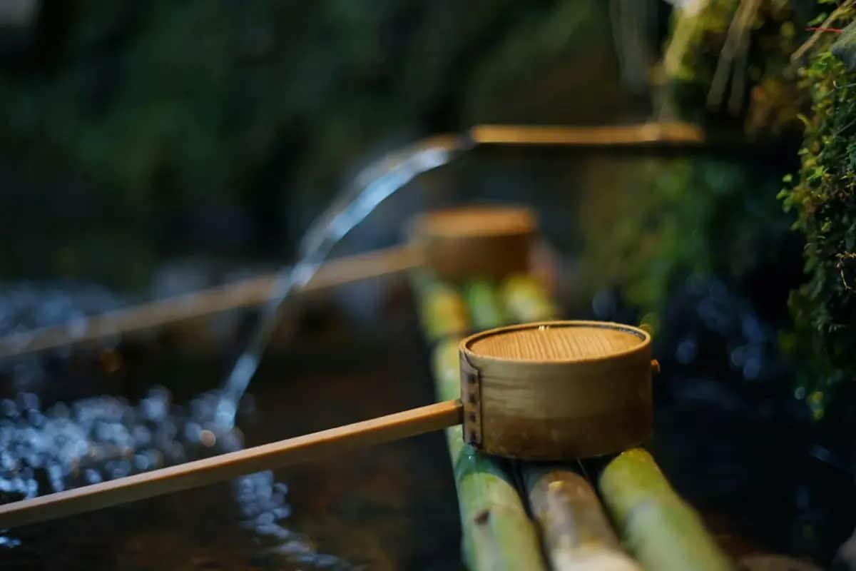 No Tap Water for 24 Hours: A Step-by-Step Action Guide
