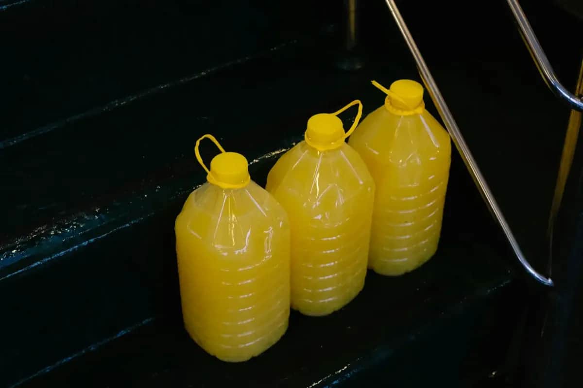 Water Filtration Basics: A Beginner's Guide to Clean Emergency Water