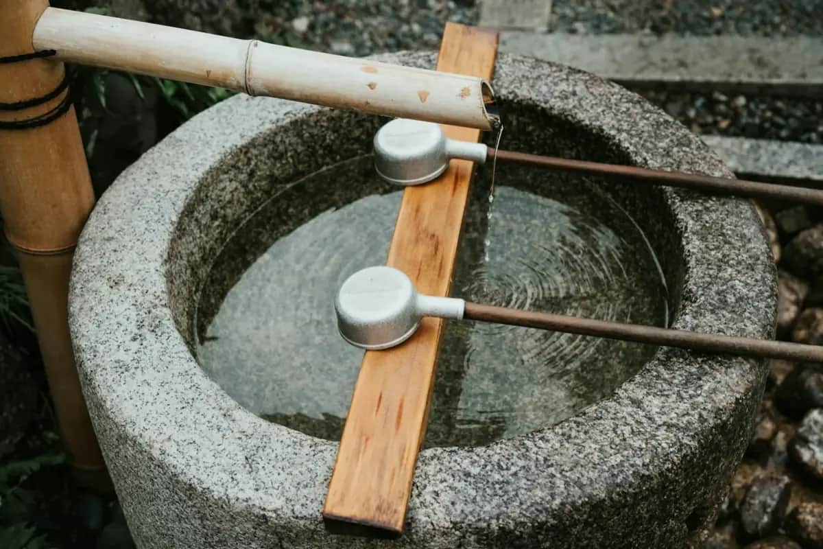 Water Filtering Step by Step: From Puddle to Drinking Water